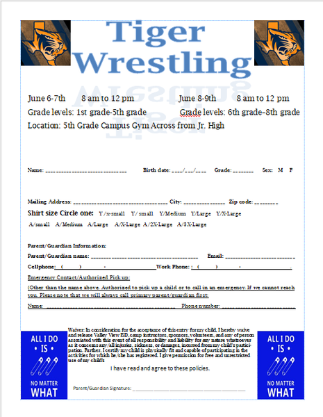 Wrestling Camp