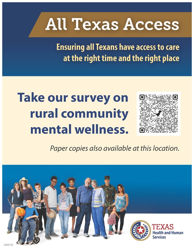  Mental Health  Survey